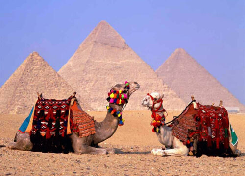 Over Day Cairo ( Small Group )
