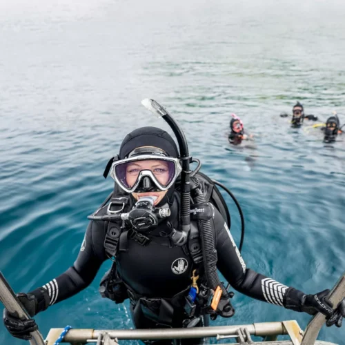 Orange Bay Island & diving