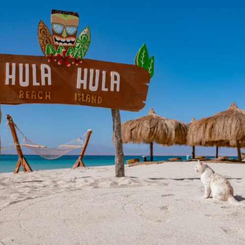 Hula Hula Island ( Deluxe trip )